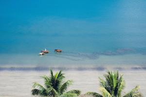 ナンディにあるSandHouse Fijiのヤシの木のあるビーチの水の中にいる2頭の馬