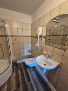 Kúpeľňa v ubytovaní Apartamenty Amadeus