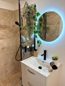 ein Badezimmer mit Waschbecken und Spiegel in der Unterkunft Chaleureux T1 avec Balcon in Vals-les-Bains