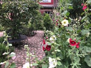 a garden with a bench and red and white flowers at Nova Harmonia in Sankt Ibb +12 photos