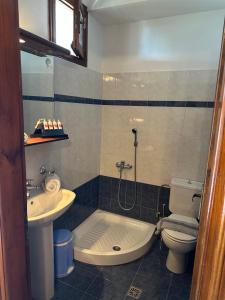 a bathroom with a toilet and a sink at Φιλυρέα Apartments - Room 2 in Zagora +5 photos