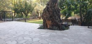Κήπος έξω από το Forest Nest Bartula