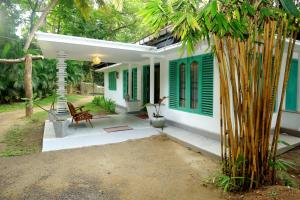Taman di luar Lazy Monkey Surfhostel - Sri Lanka