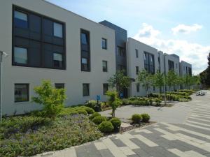 un edificio con un patio con árboles y arbustos en Petros Court, en Canterbury