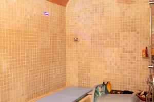 Billede fra billedgalleriet på Dar Founa i Gammarth