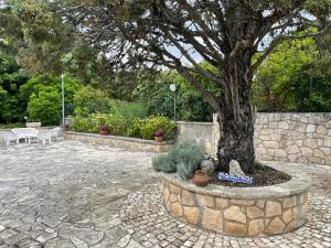 Un árbol en un círculo de piedras con un cartel debajo. en Casina GiuSaFra by Holiday World, en Selva di Fasano