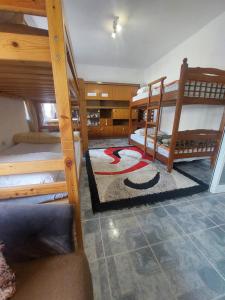 シュコダルにあるFriendship Dorms Hostelのカーペットフロアのベッドルーム1室(二段ベッド2組付)