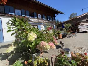 a group of flowers in front of a building at Nagelfluhhaus Hirsch in Gunzesried