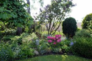 un giardino con fiori e alberi rosa e viola di Bungalow Mumm a Dahme