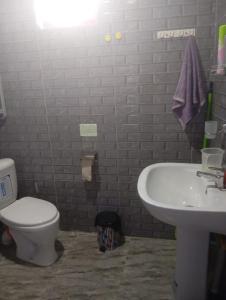 a bathroom with a toilet and a sink at Nino's Home in Borjomi
