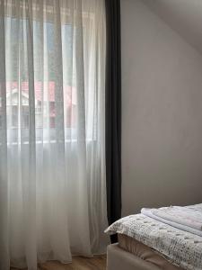 Gallery image of Apartment La Casa in Pluzine