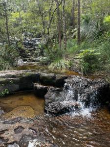 Gallery image of Casual comfort in Byron Shire in Mullumbimby