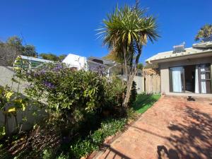 a house with a palm tree and a brick driveway at Fig Tree in Montagu