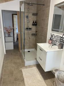 a bathroom with a shower and a sink at Maison cosy in Ambarès-et-Lagrave