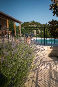 a plant with purple flowers in front of a pool at BACINELLA apartmani in Baćina
