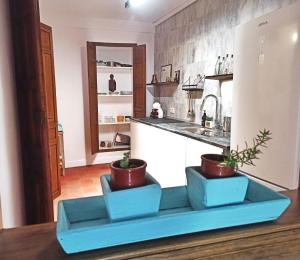 a kitchen with two potted plants on a blue tray at Benafique La casa del Ciprés - refugio de calma en la Sierra de Huelva in Cortegana