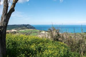 Φωτογραφία από το άλμπουμ του A20 - Poggio, villetta singola completamente ristrutturata σε Poggio