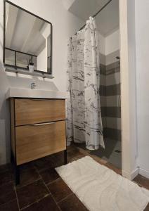 ein Badezimmer mit Waschbecken und Spiegel in der Unterkunft le rêve suspendu in Le Mans