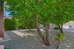 Zahrada ubytování Tatil Premium Cozy Suite