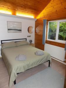 un dormitorio con una cama y una ventana en Mizen Lodge, en Berrynarbor