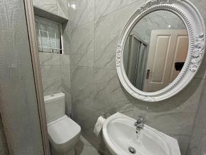 a bathroom with a toilet and a sink and a mirror at The Tranquil Golden Retreat in Johannesburg