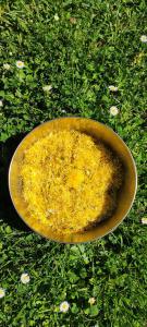 Φωτογραφία από το άλμπουμ του Le Moulin de Jules et Akasha σε Labastide-Murat