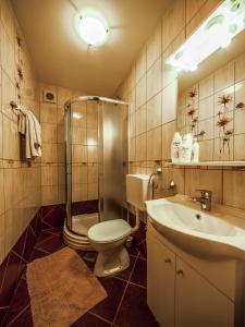 een badkamer met een douche, een toilet en een wastafel bij Guest House Slavica in Plitvička Jezera