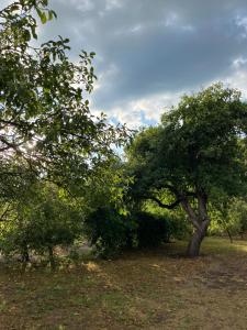 Loodusmaastik puhkemaja lähedal
