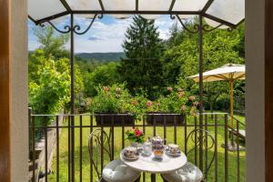 Příroda nedaleko venkovského domu