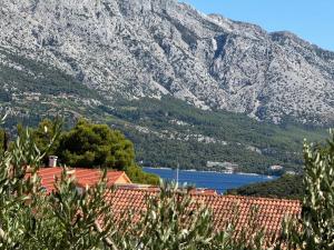 a view of a mountain and a body of water at Villa Oliva Korcula in Korčula