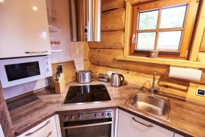 a kitchen with a sink and a stove and a microwave at Eifelblockhaus in Rieden +26 photos