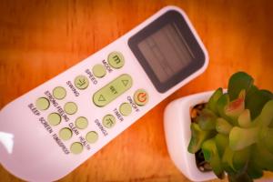a remote control sitting next to a potted plant at Hotel e hospedagem Alma de Campo in Rio Rufino
