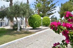 Zahrada ubytování Blue Nest Hotel