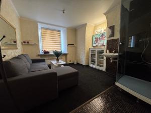 a living room with a couch and a sink at BDSM accommodation Tallinn, Private Luxury Romance Studio Apartment Tallinn Old Town adults only in Tallinn