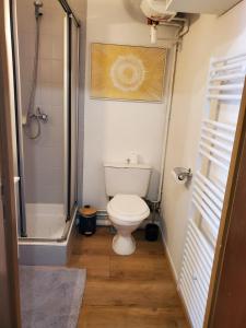 a bathroom with a toilet and a shower at Appartement entier - cosy et lumineux - Plein centre-ville in Épinal