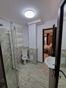 a bathroom with a toilet and a shower and a sink at Apartament LUKB in Tîrgu Ocna