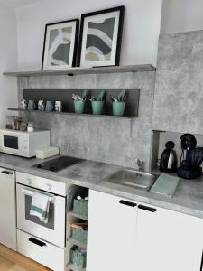 a kitchen with a sink and some plants on a shelf at Apartmán Mičinská in Banská Bystrica +12 photos