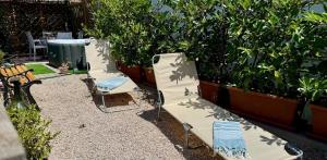 two loungers and two chairs in a garden at The Dream in Massa Lubrense