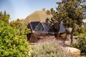 a dome tent in the middle of a garden at MAS BERRUGUES in Bélesta
