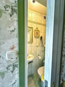 a bathroom with a sink and a toilet at Willa Wydra in Krościenko +29 photos