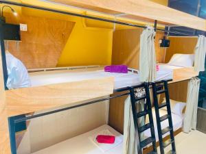 Katil atau katil-katil dalam bilik di Social Backpacker Hostel & Rooftop Bar