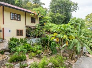 a house surrounded by trees and plants at Slow-Down Homestay 2 in Koh Tao