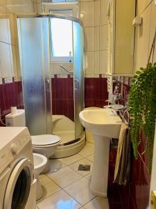 a bathroom with a shower and a toilet and a sink at Center Oasis Retreat in Podgorica