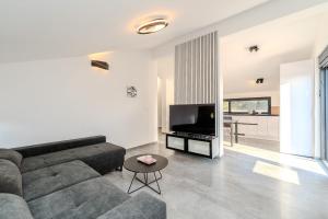 a living room with a couch and a table at Apartments Royal in Vir