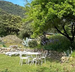 a group of white chairs and a table in the grass at Gîte Le Cèdre in Beauchastel