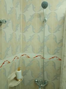 a bathroom with a shower with a toilet at Qantab village room in Muscat