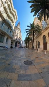 une rue de la ville avec des palmiers et un bâtiment dans l'établissement Appartement dans le centre historique de Toulon, à Toulon 4 autres photos