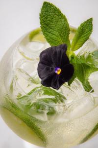 a drink with a purple flower on top of it at Boutique Spa Casino Hotel Lybid Plaza in Khmelʼnytsʼkyy