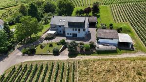 an aerial view of a house in a vineyard at Ferienwohnung "Auf Plandert" in Riol