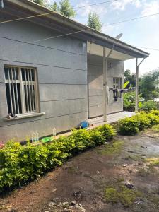 Aed väljaspool majutusasutust Omo Valley Guest House & Tours Jinka